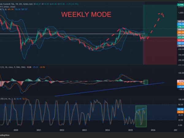 Prospek Cerah Saham MAIN di 2025, Harga Masih Murah dengan Potensi Lonjakan